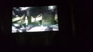 Тайны ночных ведьм