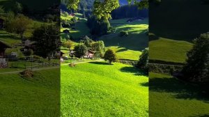 САМООЦЕНКА. ВЕРОНИКА КРАВ.