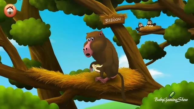 IOS Games For Kids - Feeding Time Safari - Learn How To Feed The Animals