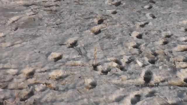 Скадовск 16.01.2013 смотреть онлайн