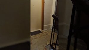 однокомнатная квартира. Ул. Званба, 22. Сухум, Абхазия