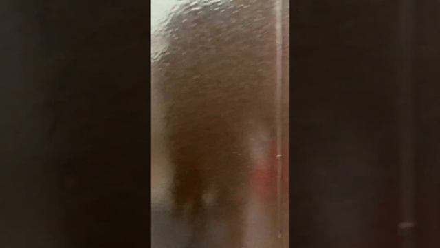 Квартиры посуточно Нарткала