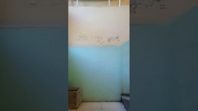 г. Санкт-Петербург, ул. Замшина, 56 смотреть онлайн