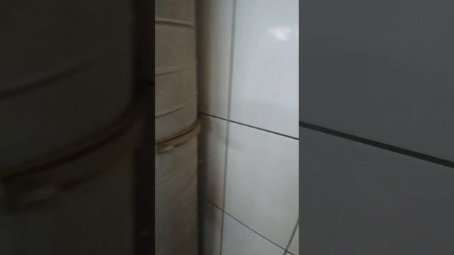 1000004669.mp4 смотреть онлайн