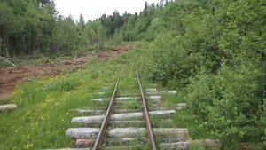 Удимская УЖД (2022.06.19)