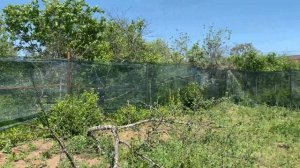 Участок за 200 тысяч | Часть 2 | Забор и беседка