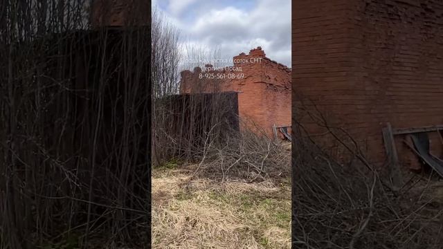 #земельныйучасток #продажаучастка #дача #ипотека2024 #дачавподмосковье #купитьдачу #недвижимость