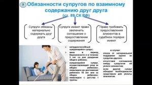 Семейное право. Алименты