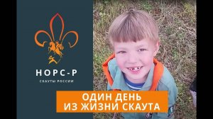 Один день из жизни скаута