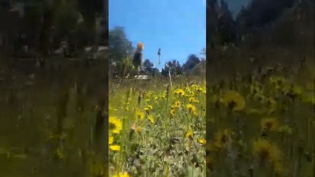 лето