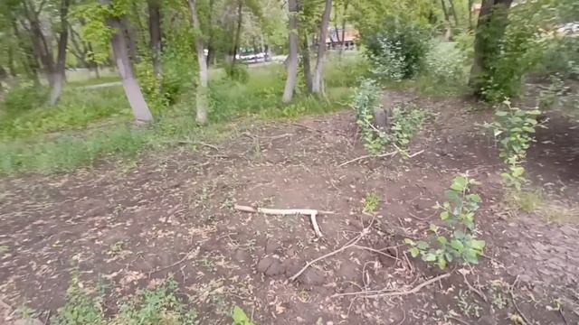 Я же сказала, что больше не собираюсь платить за твоих родственников! — заявила жена смотреть онлайн