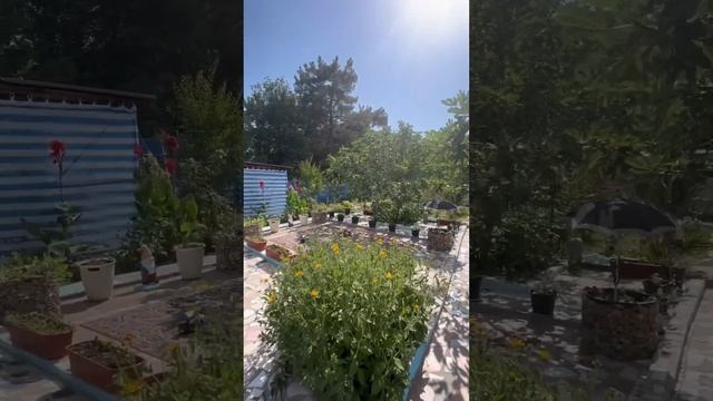 Обзор участка на Юге, строение не оформлены в собственность 🔎#домкраснодар#купитьдомнаюге