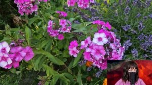 - Не может быть, я же обобрал её до липки - бывший муж застыл, увидев по телевизору богатую жену...