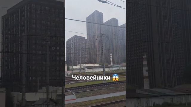 человейники 😁 #Москва #человейники #ремонт