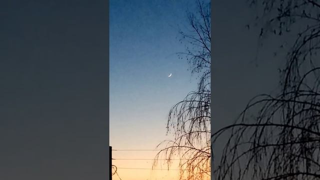 Тонкий серп Луны 15 марта 2021 года над Городом Кинель (Самарская область) смотреть онлайн