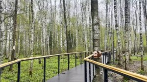 А ты тут чего забыла? Надменно спросила свекровь, едва Люда зашла в свою квартиру.