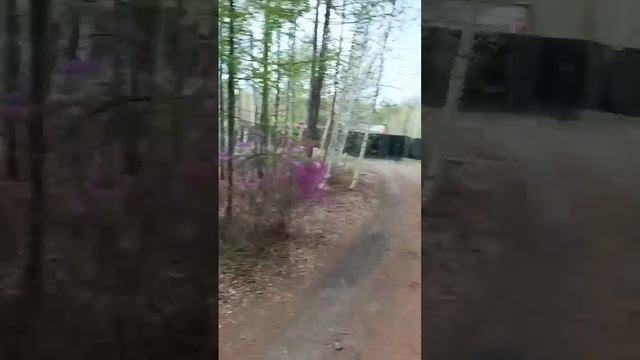 Ирина Шафрай: Недвижимость без стресса смотреть онлайн