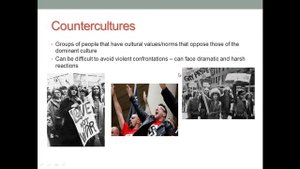 SOC 1:  Subcultures & Countercultures