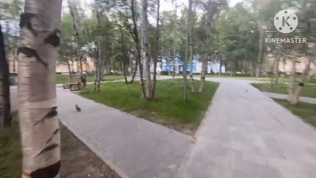 Оленегорск ,июль 2024