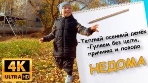 0030_Теплый осенний денёк. Костян шуршит листьями. Золотая осень 2020 Ульяновск