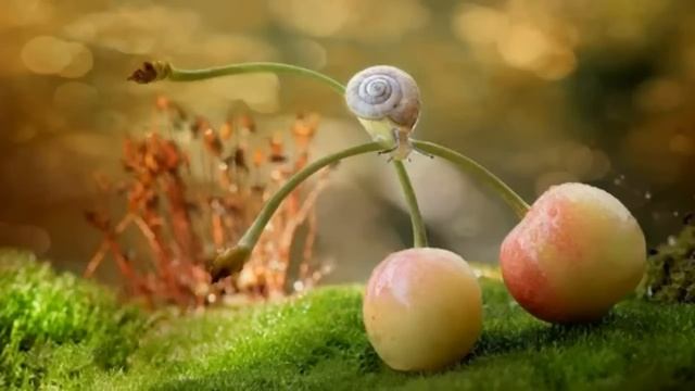 💞НОВОЕ на YouTube💞СЕМЕЙСТВО ЧАННИНГОВ💞Ч.1.Истории  из жизни до слез. Христианские рассказы.