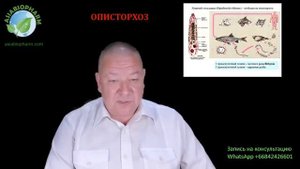 КАК ЗА 90 ДНЕЙ ВЫЛЕЧИТЬ ОПИСТОРХОЗ (ХРОНИЧЕСКИЙ)