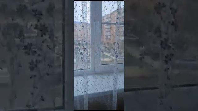 23 ноября 2023 г. смотреть онлайн