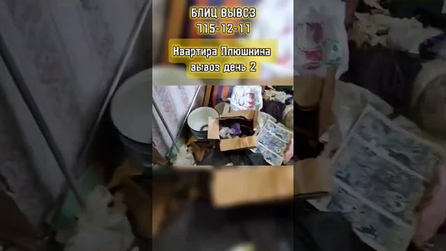 Вывоз мусора, хлама и мебели из квартиры Плюшкина в Санкт-Петербурге день второй