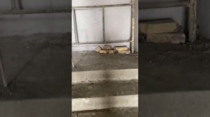 Квартираҳои фурӯши дар шаҳри Исфара аз ODILON COMPANY