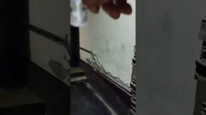 Средство от блох для кошек "БлохНэт"(на улице и дома)