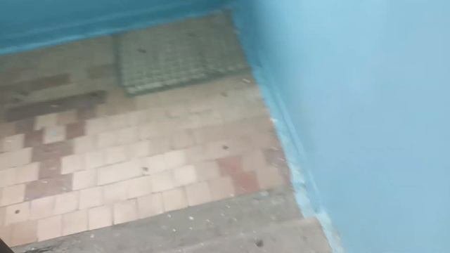 Осматриваю Подъезд Улица Проспект Курчатова 11 Подъезд 2
