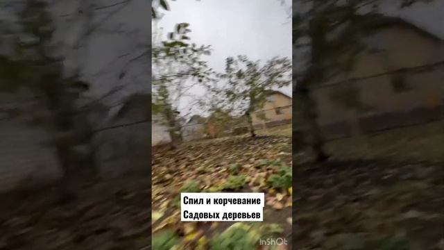 Спил и кочевание садовых деревьев, г. Набережные Челны, Татарстан. смотреть онлайн