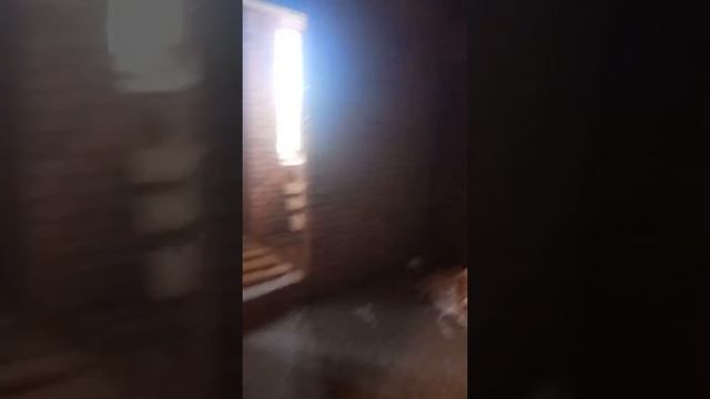 Особняк на улице Сергея Перца - обзор 1 этажа