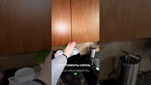 Апарт-отель в Сочи. Апартаменты Сирень #посуточносочи #жильевсочи #арендасочи #отпусквсочи #сочи
