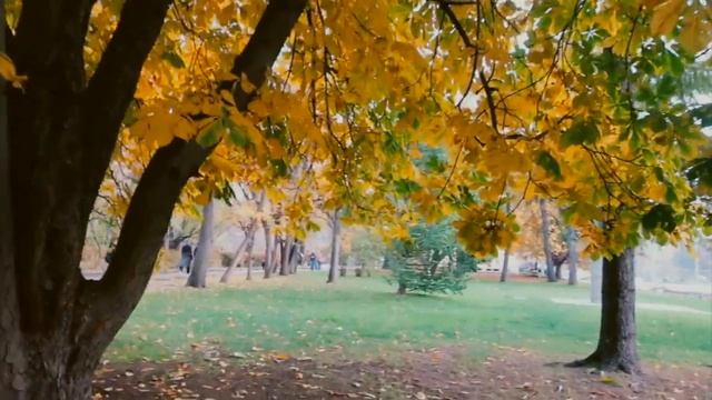 Небольшая прогулка в Парке Горького
