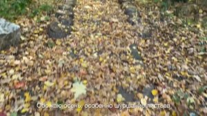 Lazy VLOG #3 «Свадьба, база отдыха, водопад»