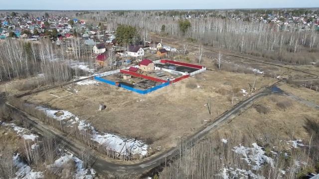 9175096 смотреть онлайн