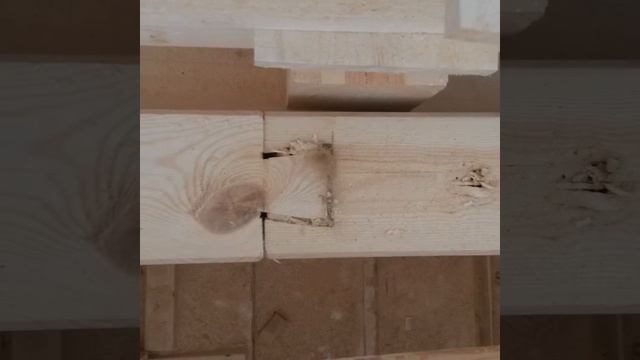 История строительства дома семьи Рязанцевых