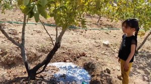 Nomadic life: Nomadic women's war: Nomadic family fight