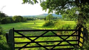 Lifestyle: city or country