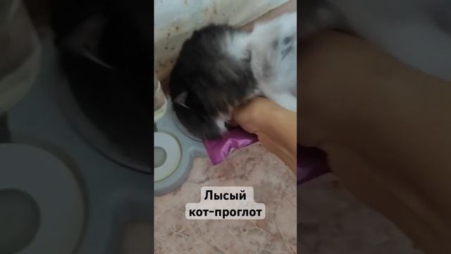 Наконец-то!! #андрейфартыгин #авторисполнитель #гастролинаюг #ананасовико