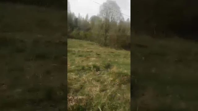 WhatsApp Video 2024 05 07 at 11 27 56 смотреть онлайн