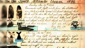 Китобои 19 века #интересное