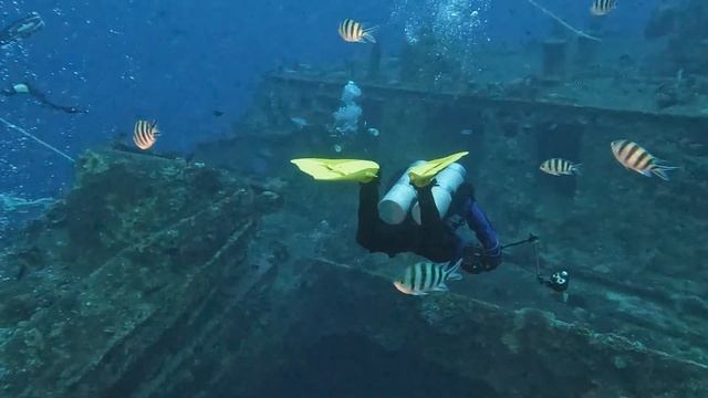 Red Sea Dive Safari - November 2022 смотреть онлайн