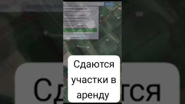 сдаётся в аренду участки краснодарский край смотреть онлайн