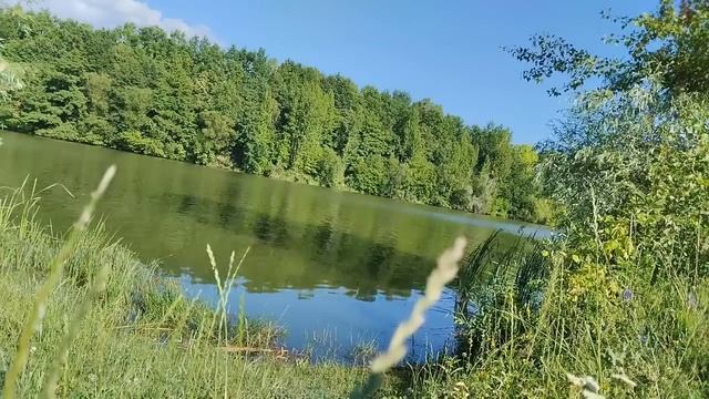 Мать сделала ДНК-тест внуков. Но когда невестка достала свои документы, свекровь... смотреть онлайн