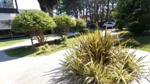 ОТЕЛЬ МОНЕ 2024 Цены и выход к морю