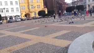 АйАнтон - площадь в Бялогарде