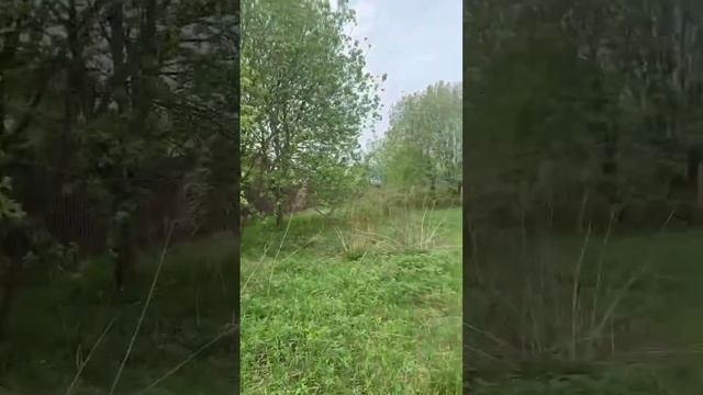 Продажа участка г. Калуга, д. Шопино. смотреть онлайн