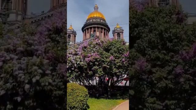 размещение в Санкт-Петербурге #посуточноспб #посуточно #посуточнаяарендаспб